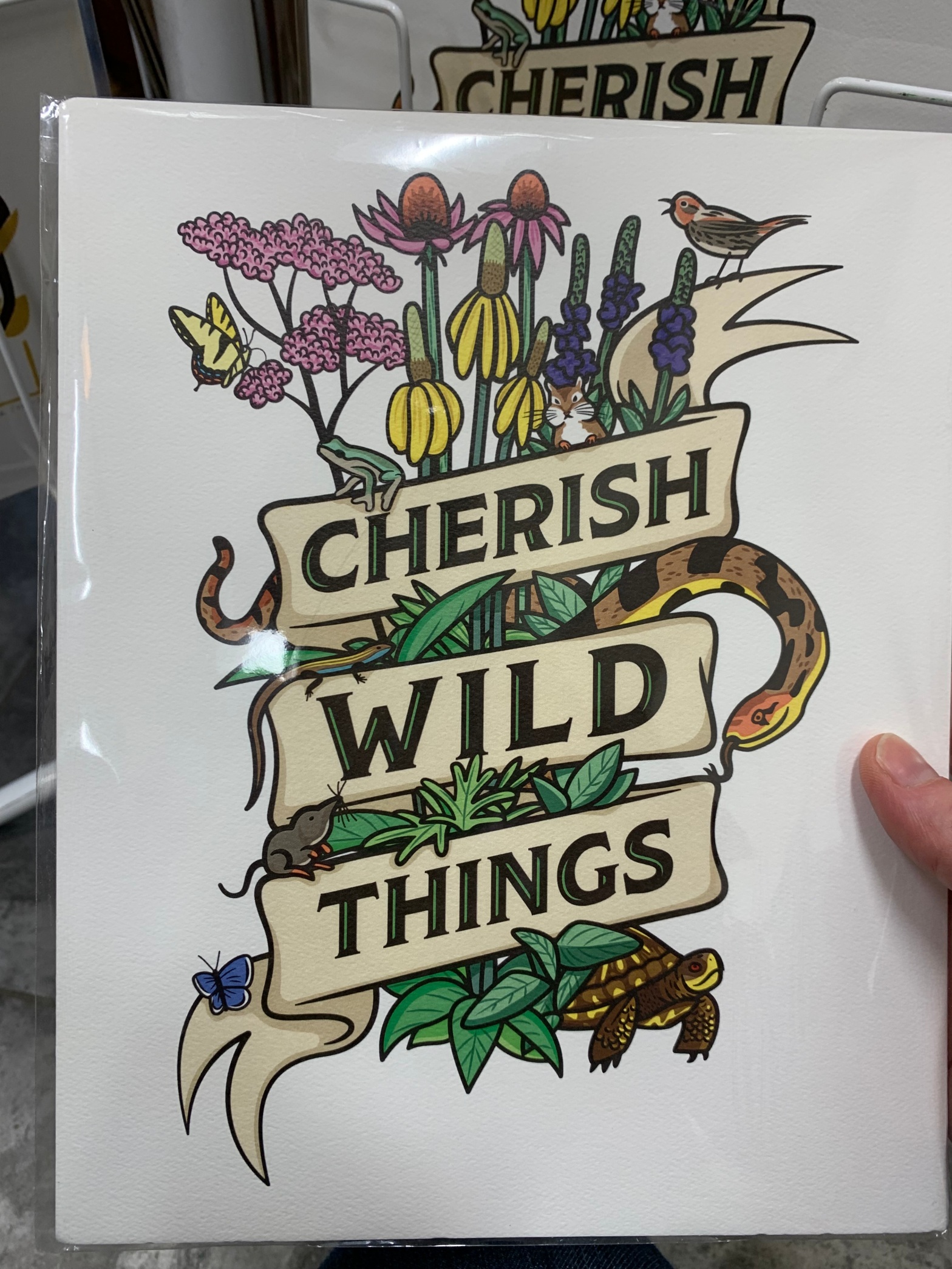 Three banners go across a bundle of wild flowers; each banner has one word of the phrase "cherish wild things." The wildflowers are different colors, and there are animals among them: snake, turtle, bird, butterfly, squirrel